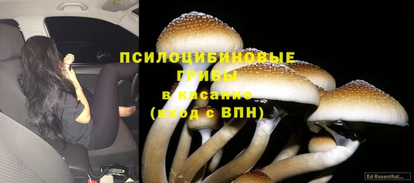 гидра Майский