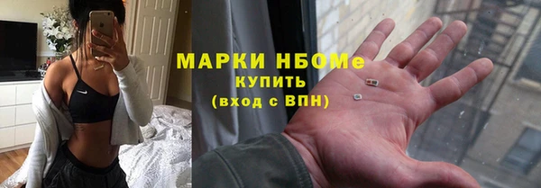 гидра Майский