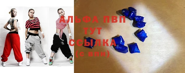 прущие грибы Медногорск