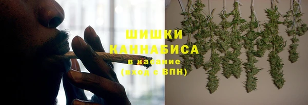 гидра Майский