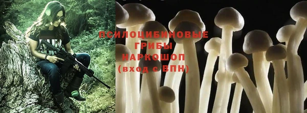 тгк Магас