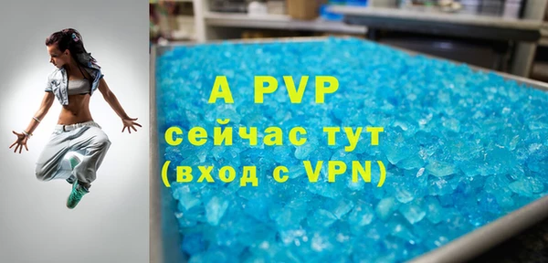 гидра Майский