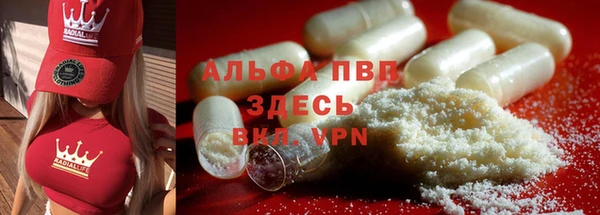 тгк Магас