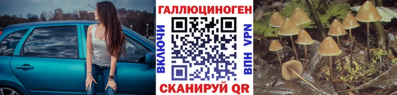 мега tor  Красновишерск  Псилоцибиновые грибы Cubensis 